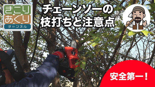 チェーンソーを使った枝打ちの方法と注意点