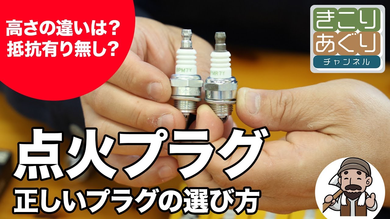 正しいプラグの選び方とその重要性 – きこりあぐり通販